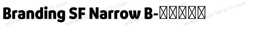 Branding SF Narrow B字体转换